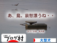 阿賀野川05.jpg