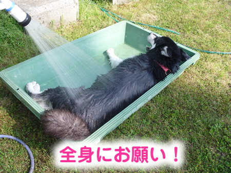 風呂08.jpg