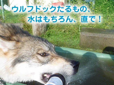 風呂19.jpg