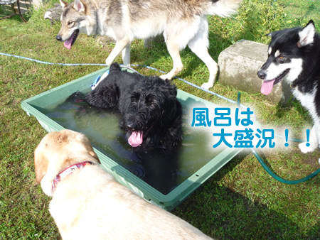 風呂22.jpg