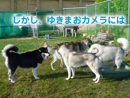 風呂23.jpg