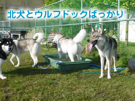 風呂24.jpg