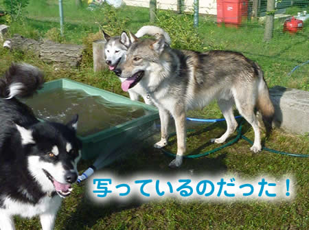 風呂25.jpg