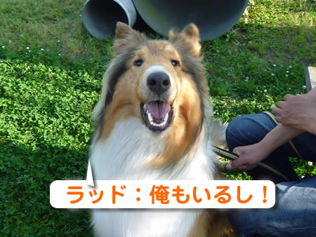 風呂26.jpg