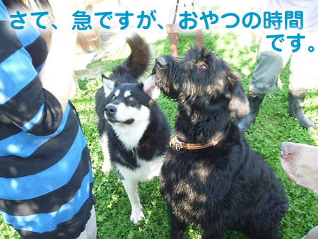 風呂27.jpg