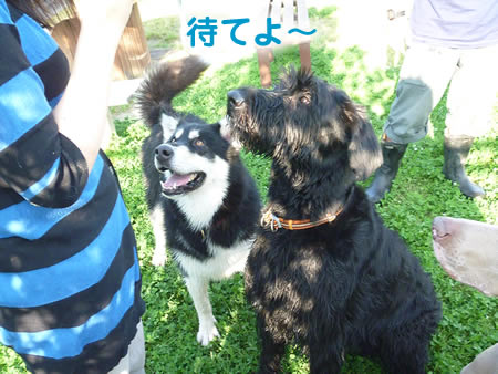 風呂28.jpg