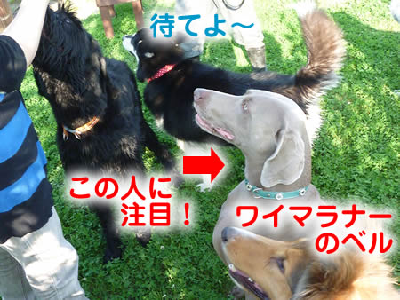 風呂29.jpg