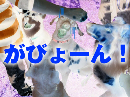 風呂33.jpg
