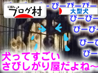 シクシク07.jpg